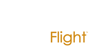 Eagleflight